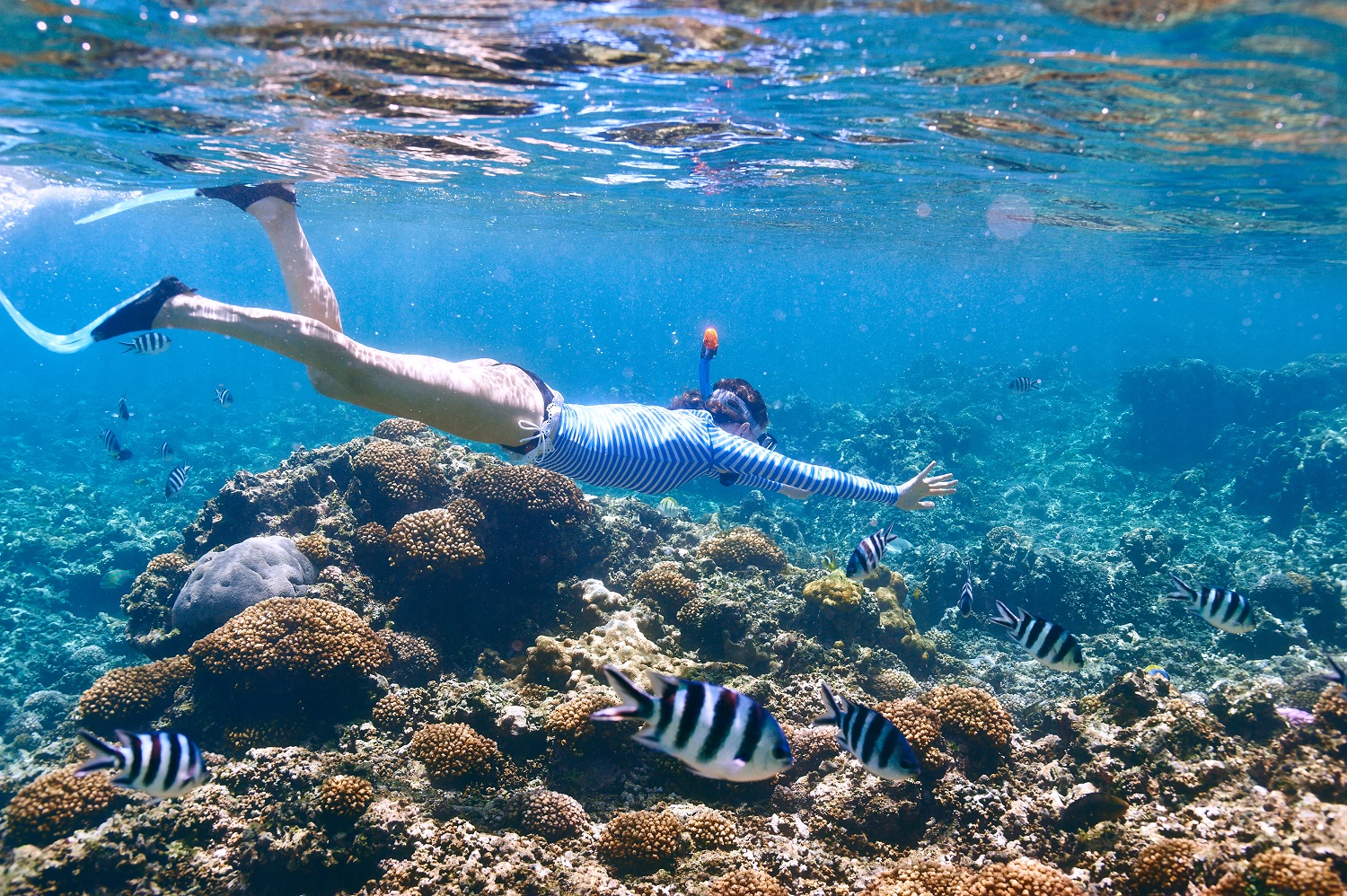 Dive Right Into Your Vacation With Pompano Beach Snorkeling