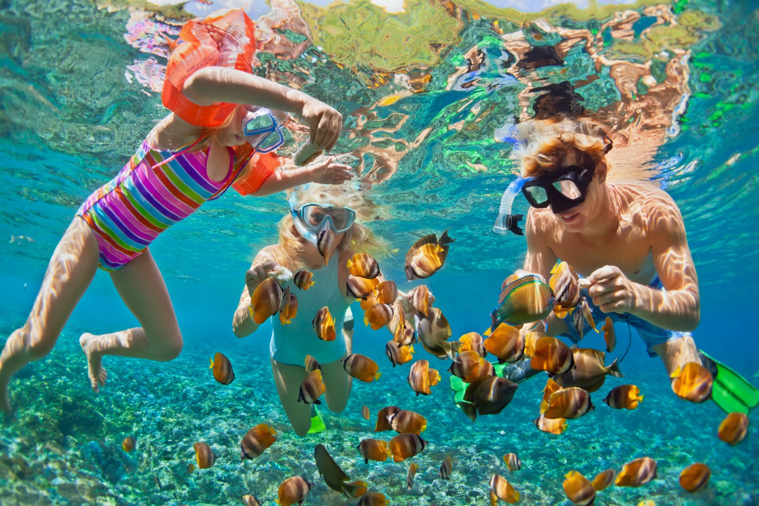 The 3 Best Places for Snorkeling in Fort Lauderdale