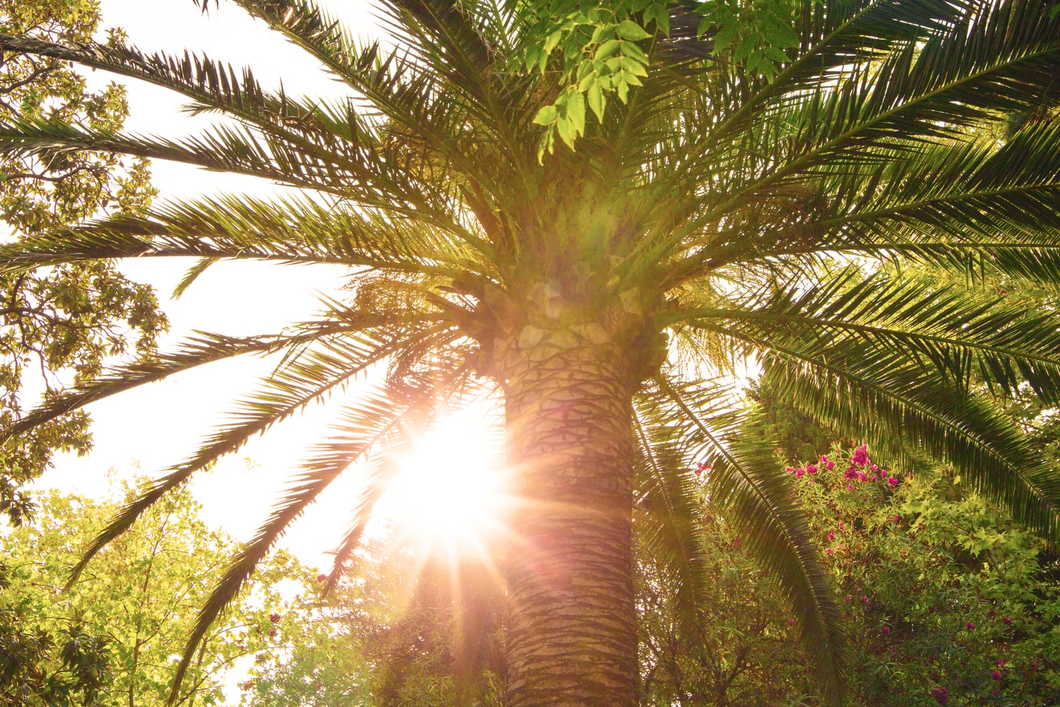 Why the Anne Kolb Nature Center in Fort Lauderdale Is the Best