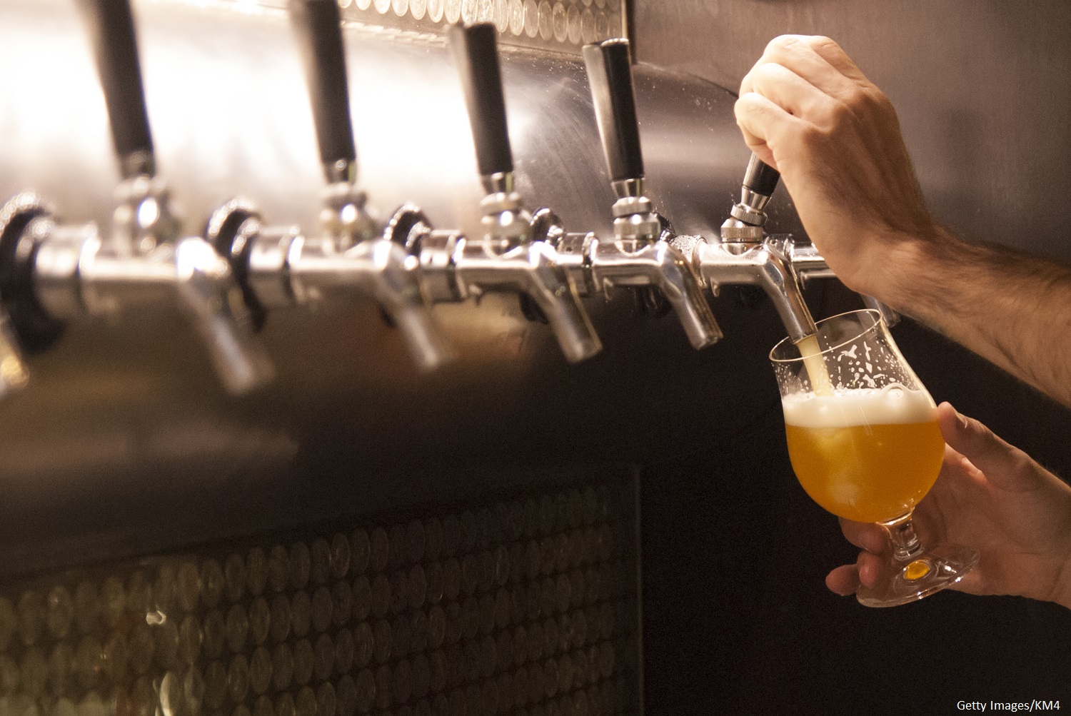 Bartender pouring draft beer into tulip glass at one of the best breweries in Fort Lauderdale