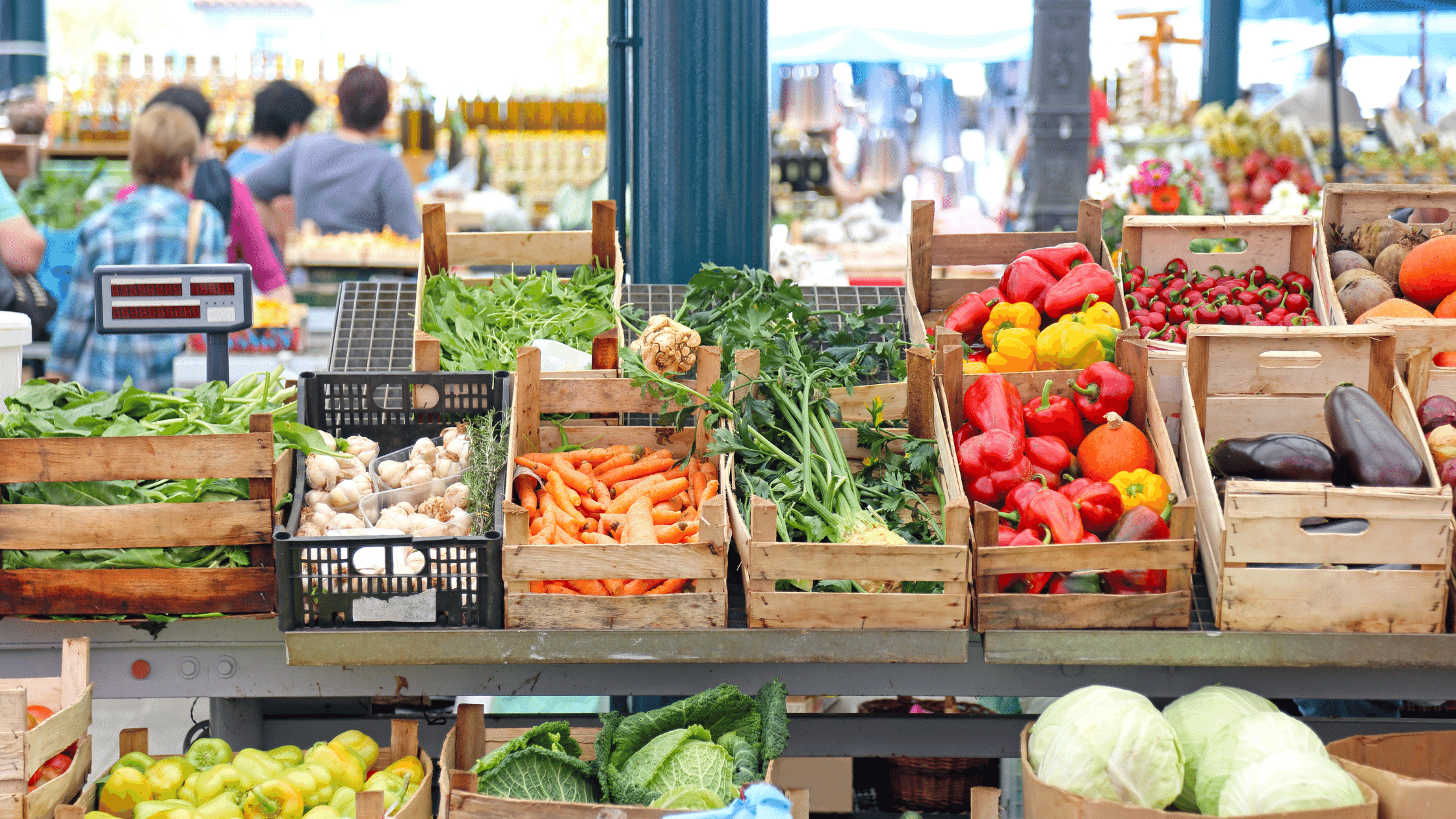 farmers markets fort lauderdale florida produce